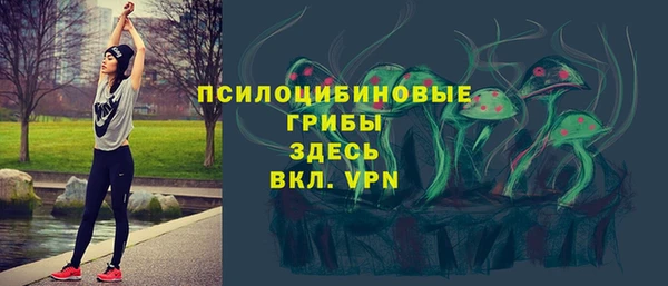 винт Балахна