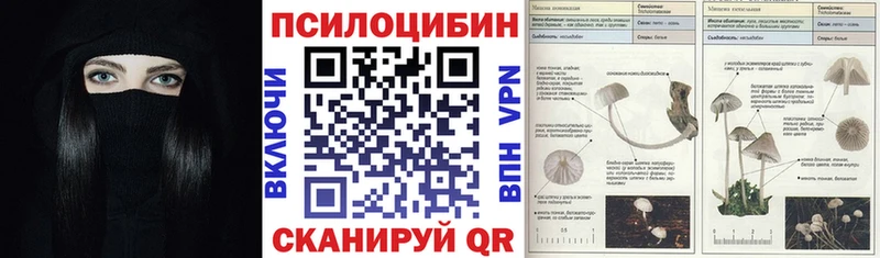 купить наркотики сайты Кандалакша ОМГ ОМГ ONION Галлюциногенные грибы GOLDEN TEACHER